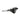HEL Advocate 4-Piston Hydraulic Disc Brake System - Stealth Black & Hyper Silver