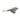 HEL Advocate 4-Piston Hydraulic Disc Brake System - Forged Bronze & Hyper Silver
